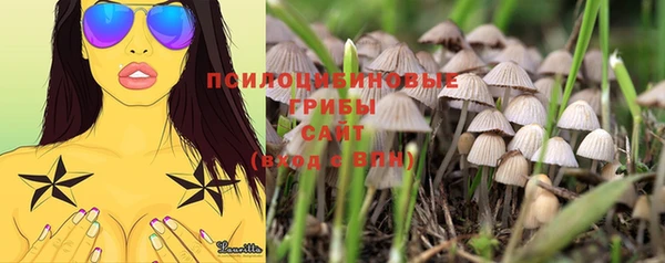 героин Новозыбков