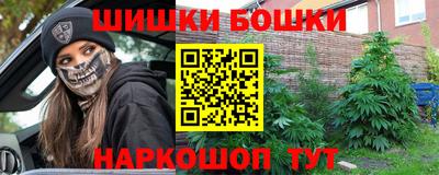 крисы Новодвинск
