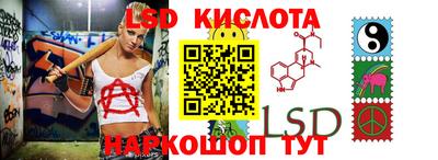 крисы Новодвинск