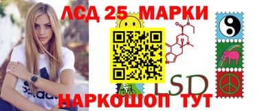 крисы Новодвинск