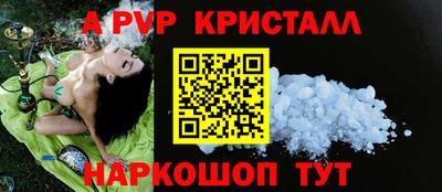 крисы Новодвинск