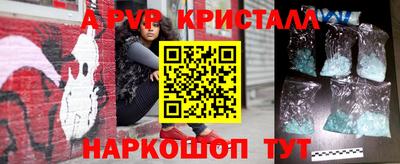 крисы Новодвинск