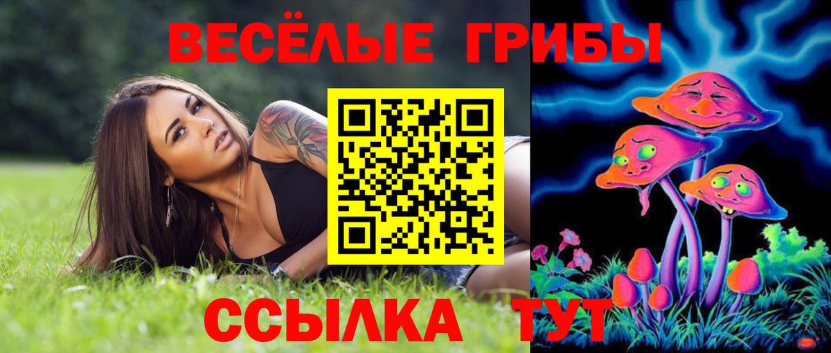 Галлюциногенные грибы прущие грибы Рассказово