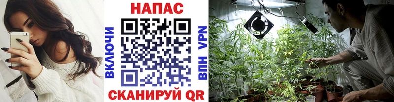 Марихуана White Widow  Рассказово 